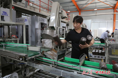 看 隴東糧倉 ,如何開啟農業現代化新篇章