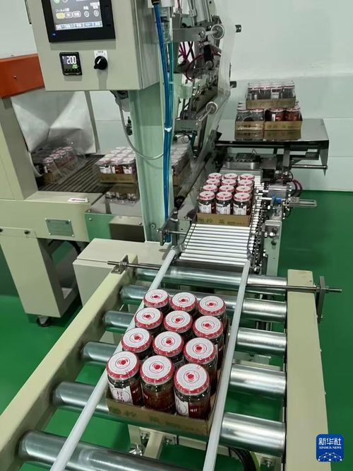 日本の食品メーカー 四川省でザーサィ生產 伝統(tǒng)制法守る