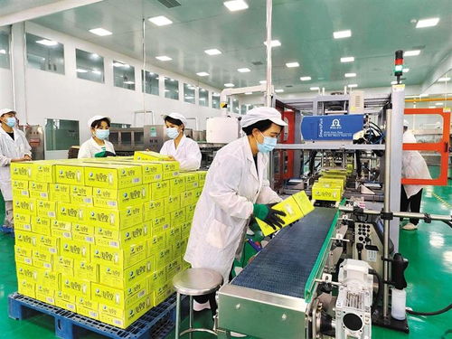 千里沃野共繪振興畫卷