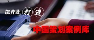 企業(yè)整體形象CIS策劃 構(gòu)建品牌核心競爭力的系統(tǒng)工程